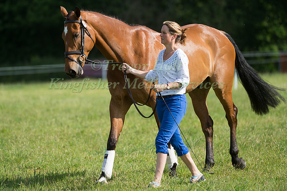 PIGGY FRENCH (GBR) AND COOLEY MONSOON AT THE HORSE INSPECTION