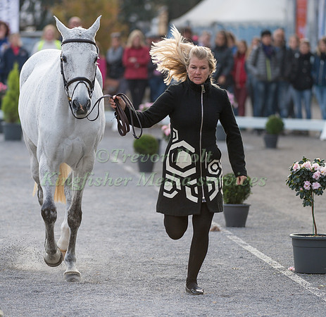 Jonelle PRICE (NZL) AND  FAERIE DIANIMO