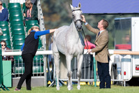 OLIVER TOWNEND (GBR) AND BALLAGHMOR CLASS