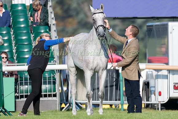 OLIVER TOWNEND (GBR) AND BALLAGHMOR CLASS