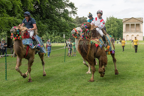 BEN WAY TAKES PART IN THE CAMEL RACING AT THE 2017 HOUGHTON INTERNATIONAL HORSE TRIALS