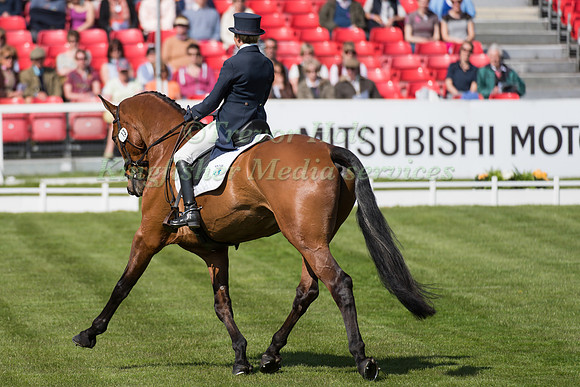 Louise Harwood of Great Britain  riding Whitson