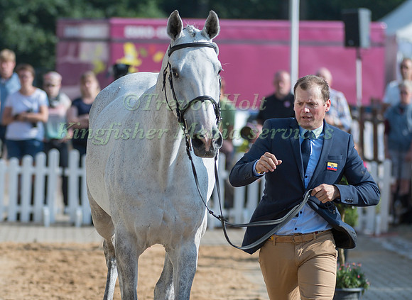 NICOLAS WETTSTEIN (ECU) AND MEYER'S HAPPY