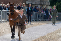 Becky Heappey (GBR) and DHI Babette K