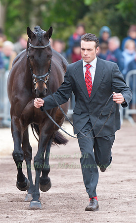 Paul Tapner and Stormhill Michael