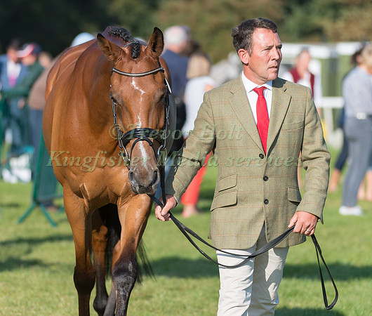 AUSTIN O'CONNOR (IRL) AND LUCKY CONTENDER
