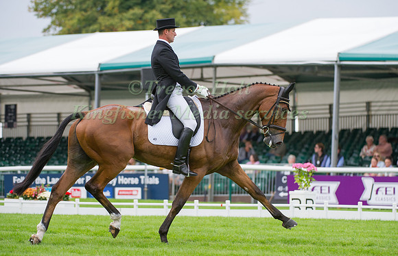 Gordon Murphy (GBR) riding Imperial competing in the dressage test