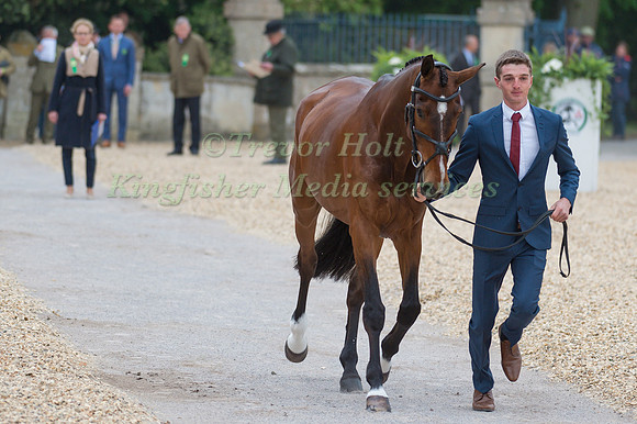 Tom Jackson (GBR) and Waltham Fiddlers Find at the Final  Horse Inspection of the 2017 Mitsubishi Motors Badminton Horse Trials