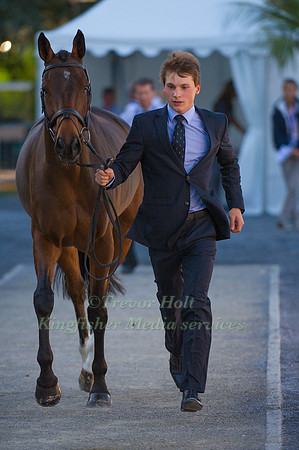 Niklas Bschorer and Ballyengland Rebel