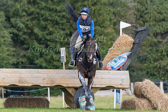 THERESE VIKLUND AND DIABOLIQUE