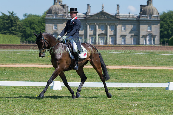 OLIVER TOWNEND (GBR) RIDING ARCTIC MOUSE RIDING NOTE WORTHY IN THE DRESSAGE PHASE OF THE CICO THREE STAR AT THE 2017 HOUGHTON INTERNATIONAL HORSE TRIALS