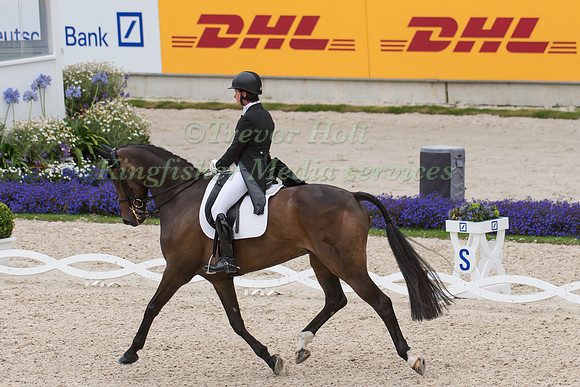 Bettina Hoy (GER) and Designer 10 taking part in the dressage phase of the  2016 Aachen CICO Competition