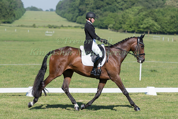MEGAN HEATH (NZL) RIDING WOLKE SIEBEN 49 IN THE DRESSAGE PHASE OF THE CICO THREE STAR AT THE 2017 HOUGHTON INTERNATIONAL HORSE TRIALS
