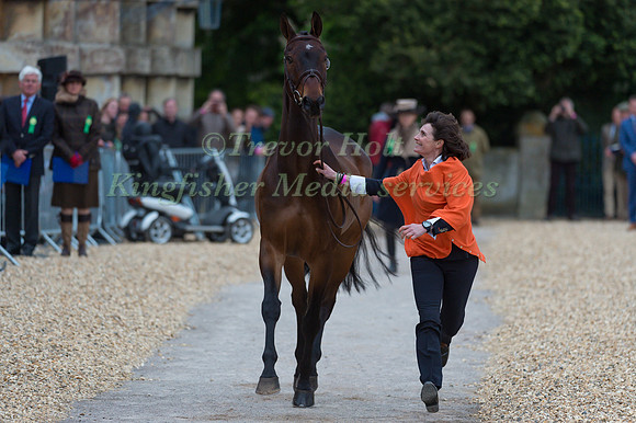 Alice Naber-Lozeman (NL) and ACSI Harry Belafonte at the first Horse Inspection of the 2017 Mitsubishi Motors Badminton Horse Trials