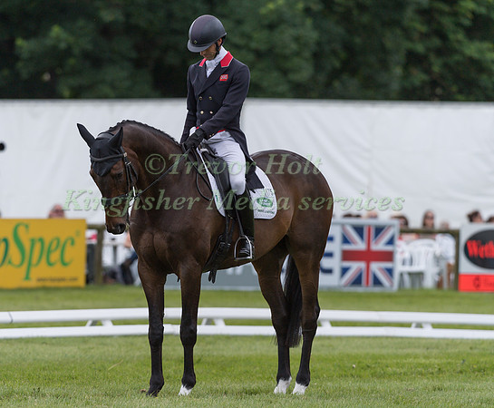 HARRY MEADE AND CARWARTHEN HARRIER