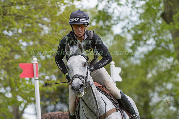 Andrew Nicholson (NZL) and  Swallow Springs