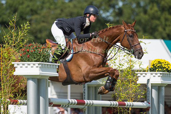 Emily Llewellyn (GBR) and  Greenlawn Sky High