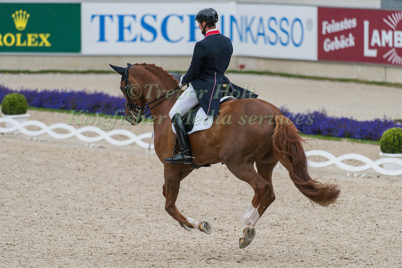 Michael Eilberg ((GBR)) and Woodlander Farouche taking part in the Prize of VUV - Vereinigte Unternehmerverbände Aachen Prix St. Georges CDI4*