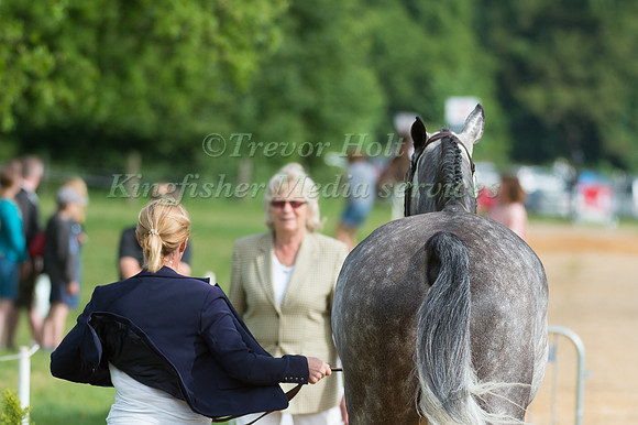 HANNAH BATE (GBR) AND CAPITAL T AT THE HORSE INSPECTION