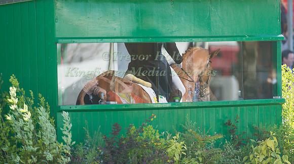 Reflection in the Judges Box