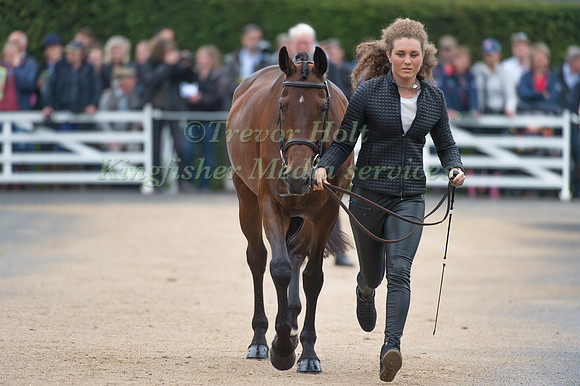 Danielle Dunn (GBR) and Zocarla BLH