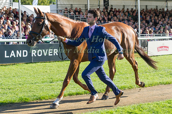 ARTHUR  DUFFORT (FRA) AND HERBST GOLDEN ECLIPSE