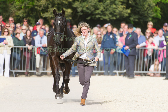 Nicola Wilson and Opposition Buzz