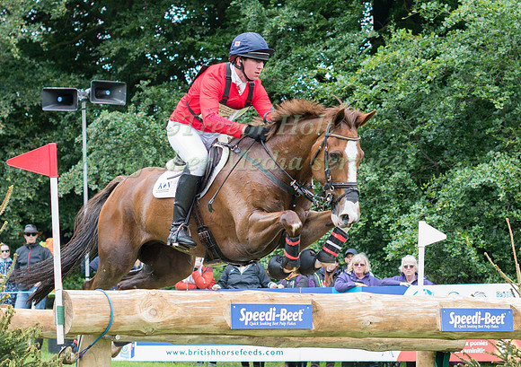 DAVID DOEL (GBR) AND CHAP TAKING PART IN THE CROSS COUNTRY PHASE OF THE  UNDER 25s CCI THREE STAR COMPETITION AT THE 2017 EQUI-TREK BRAMHAM INTERNATIONAL HORSE TRIALS