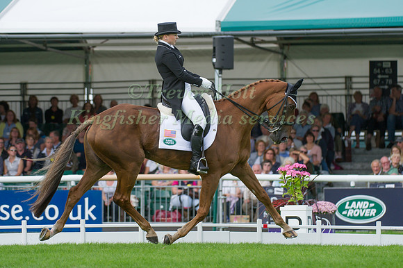 Marilyn Little (USA) riding RF Demeter competing in the dressage test