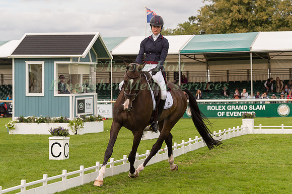 ARIEL GRALD (USA) AND LEAMORE MASTER PLAN