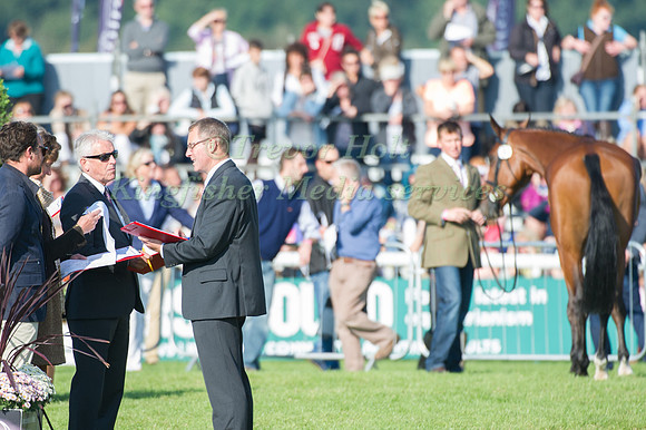 Matthew Heath (GBR) riding The Lion taking part in the Show Jumping Phase