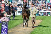 William Fox-Pitt riding Bay My Hero in the Show Jumping Phase