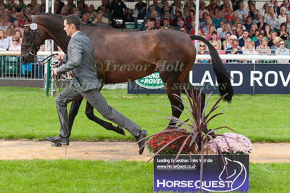 Jonathan Paget (NZL) and Clifton Promise at the 1st horse inspection