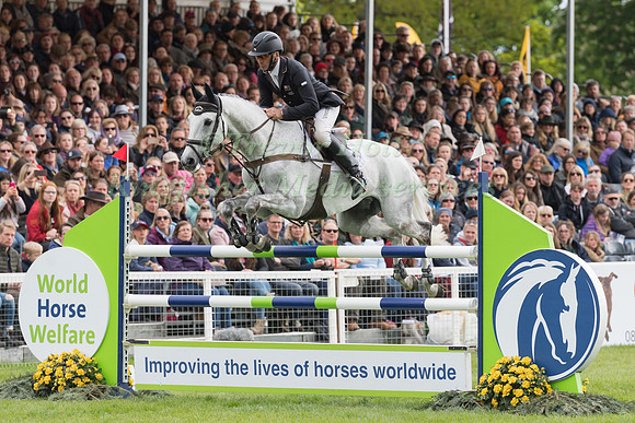 Andrew Nicholson (NZL) and  Swallow Springs