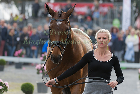 Georgie STRANG (GBR) AND COOLEY EARL