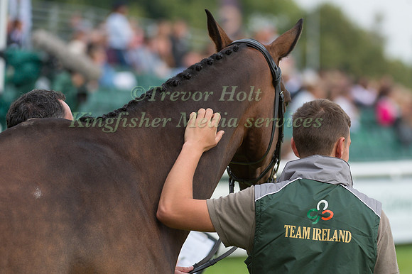 Alan  Nolan (IRL) and Bronze Flight