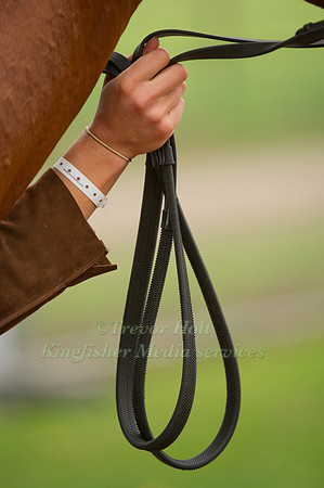 Waiting for Trot Up
