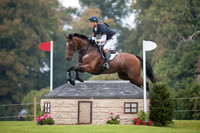 William Fox-Pitt and Parklane Hawk