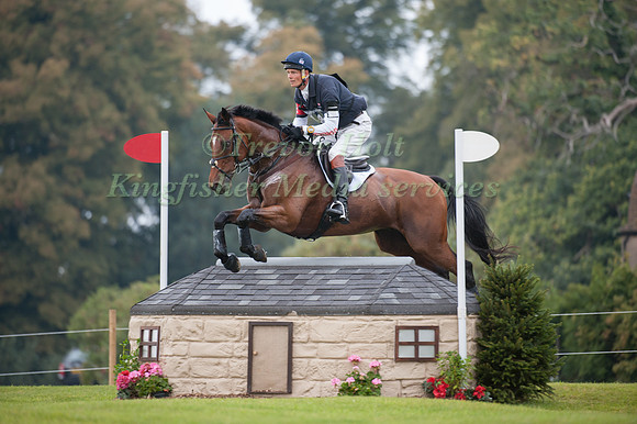 William Fox-Pitt and Parklane Hawk