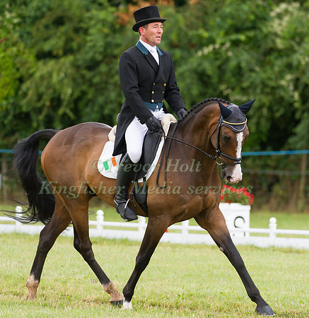 Austin O'Connor and Fernhill Rockstar