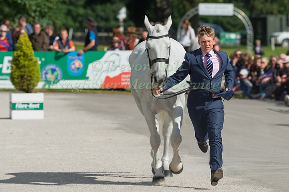 TOM BIRD AND REBEL RHYME