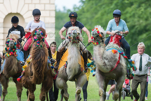 ANDREAS OSTHOLT  TAKES PART IN THE CAMEL RACING AT THE 2017 HOUGHTON INTERNATIONAL HORSE TRIALS