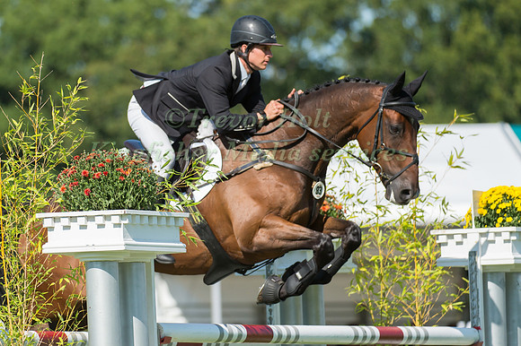 Tom D Crisp (GBR) and  Coolys Luxury