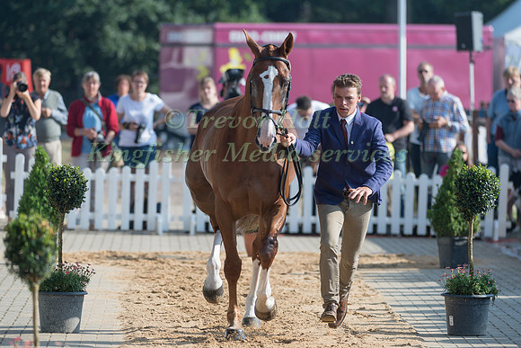 CAMILLE LEJEUNE (FRA) AND TAHINA DES ISLES