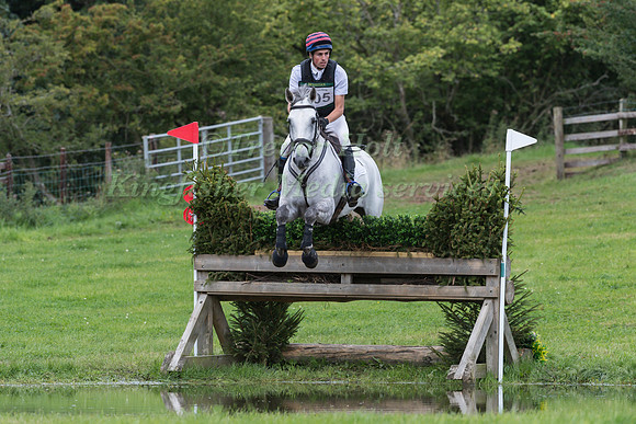 HECTOR PAYNE RIDING  DYNASTY