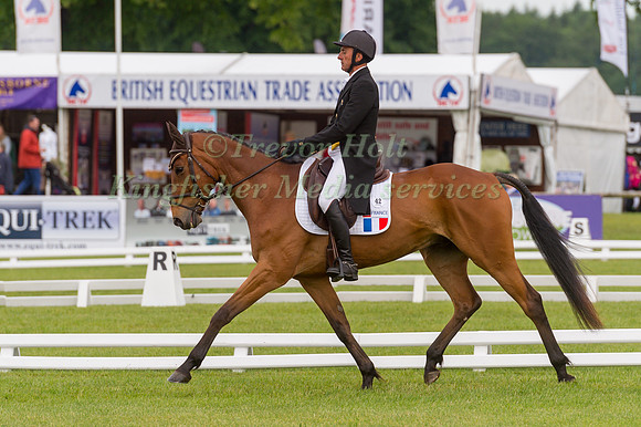 REMI  PILLOT (FRA) AND TOL CHIK DU LEVANT