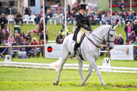 Pip Peters and Upward Trend