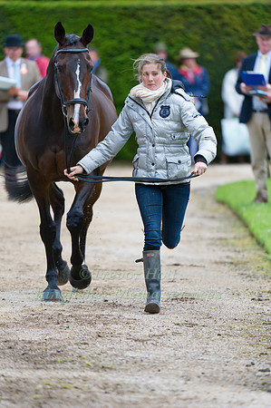 Laura Shears and Kings Fancy