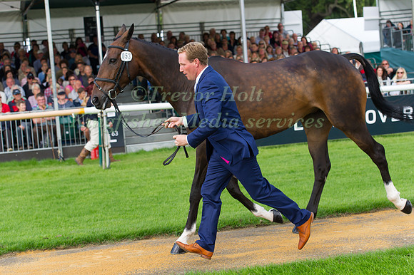 Oliver Townend (GBR) and  Samuel Thomas II