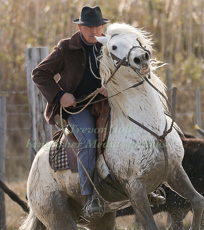 A Guardian competing in the handling test